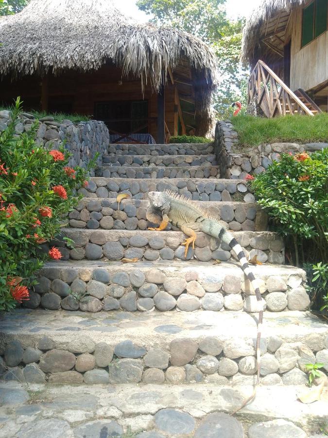 Ecocabanas Diosa Jaguar Tayrona La Esmeralda  ภายนอก รูปภาพ