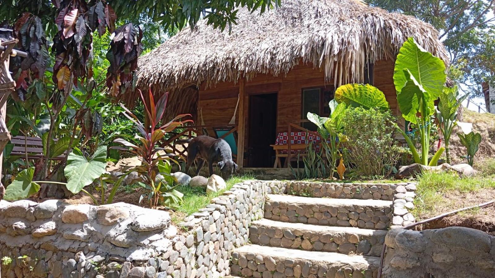 Ecocabanas Diosa Jaguar Tayrona La Esmeralda  ภายนอก รูปภาพ