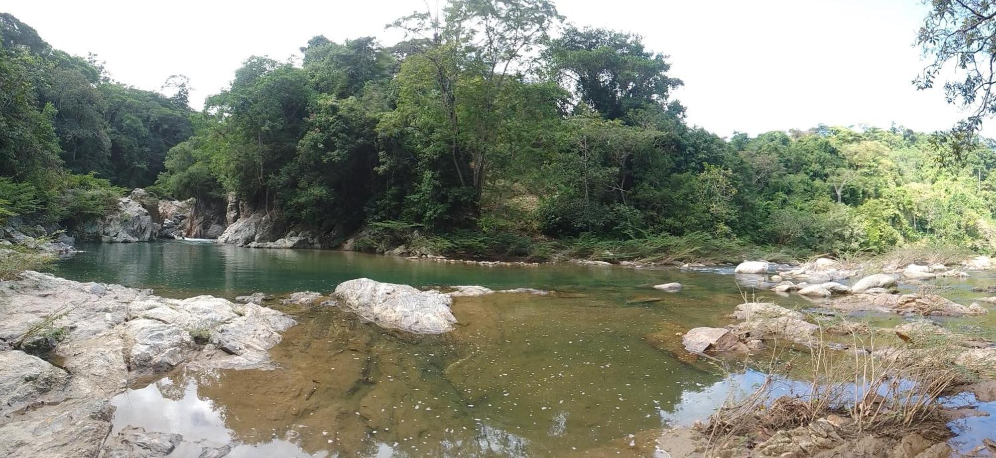 Ecocabanas Diosa Jaguar Tayrona La Esmeralda  ภายนอก รูปภาพ