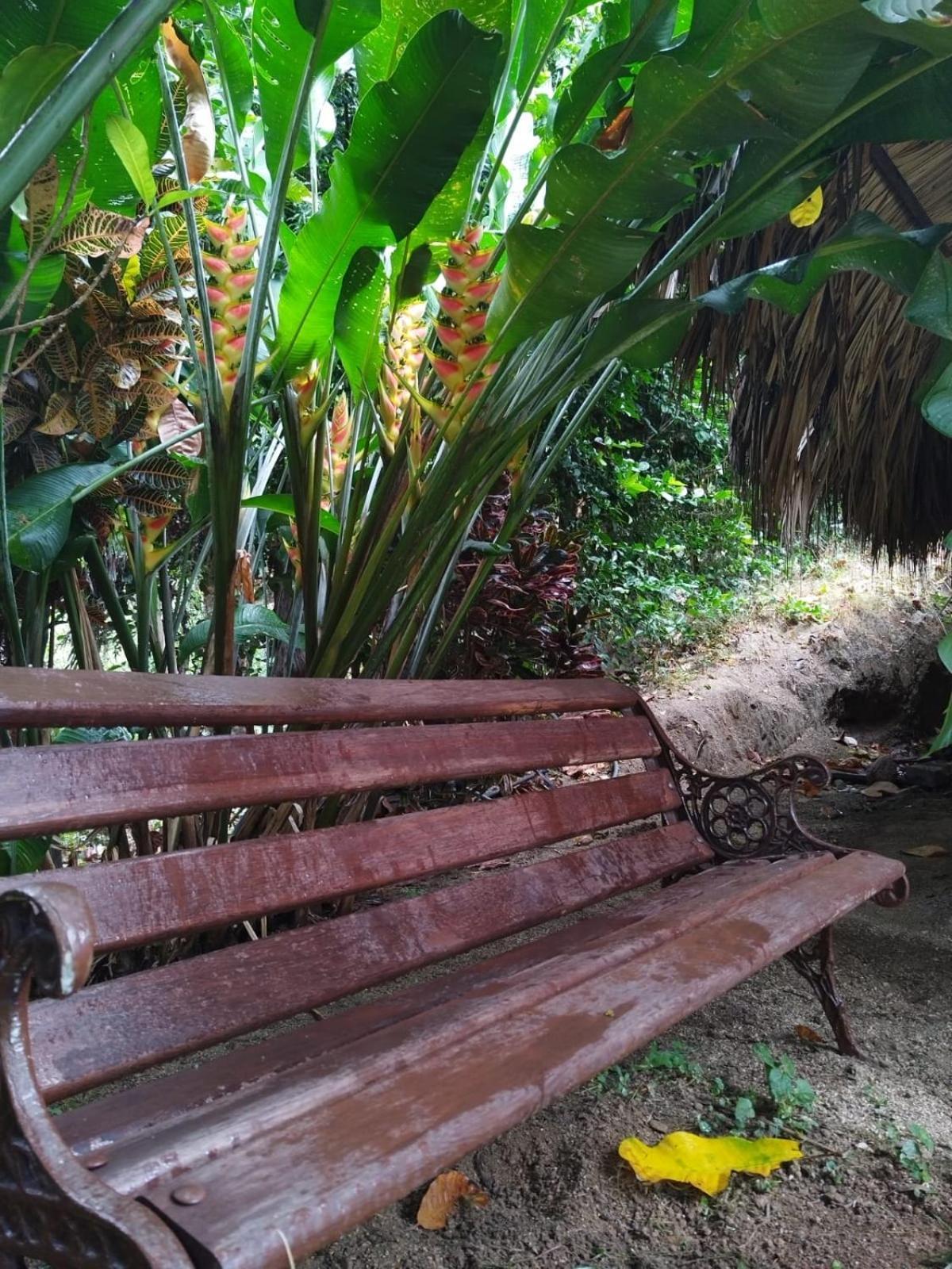 Ecocabanas Diosa Jaguar Tayrona La Esmeralda  ห้อง รูปภาพ