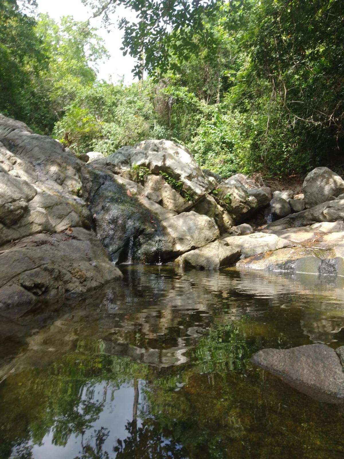 Ecocabanas Diosa Jaguar Tayrona La Esmeralda  ภายนอก รูปภาพ