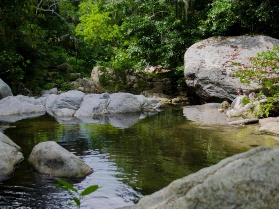 Ecocabanas Diosa Jaguar Tayrona La Esmeralda  ภายนอก รูปภาพ