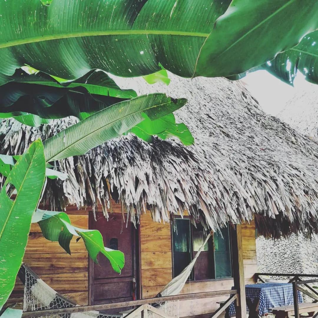 Ecocabanas Diosa Jaguar Tayrona La Esmeralda  ภายนอก รูปภาพ