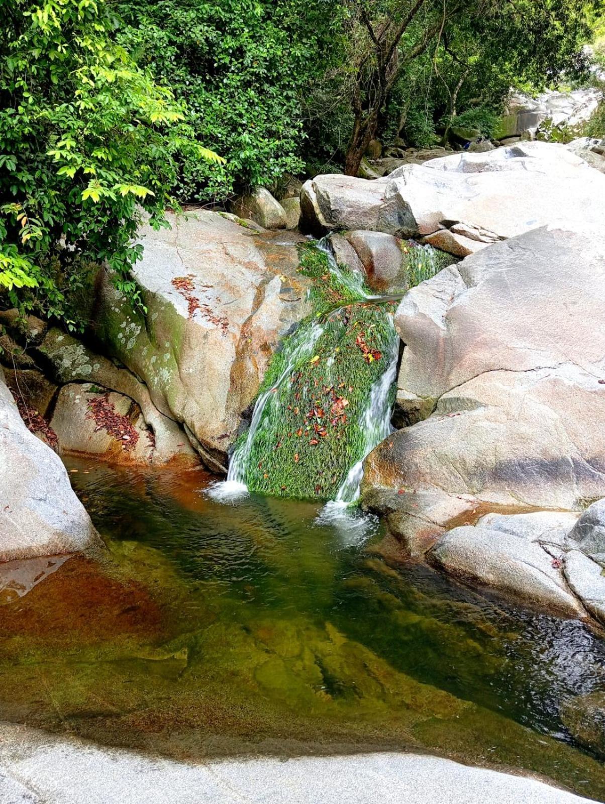 Ecocabanas Diosa Jaguar Tayrona La Esmeralda  ภายนอก รูปภาพ